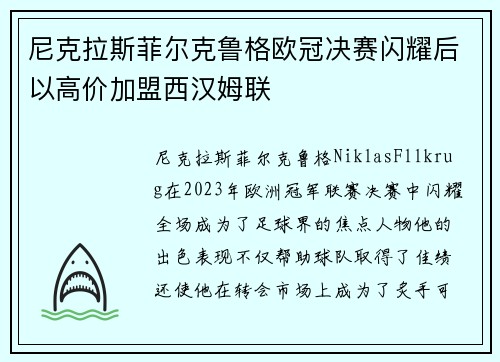 尼克拉斯菲尔克鲁格欧冠决赛闪耀后以高价加盟西汉姆联 尼克拉斯菲尔克鲁格欧冠决赛闪耀后以高价加盟西汉姆联