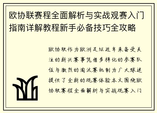 欧协联赛程全面解析与实战观赛入门指南详解教程新手必备技巧全攻略